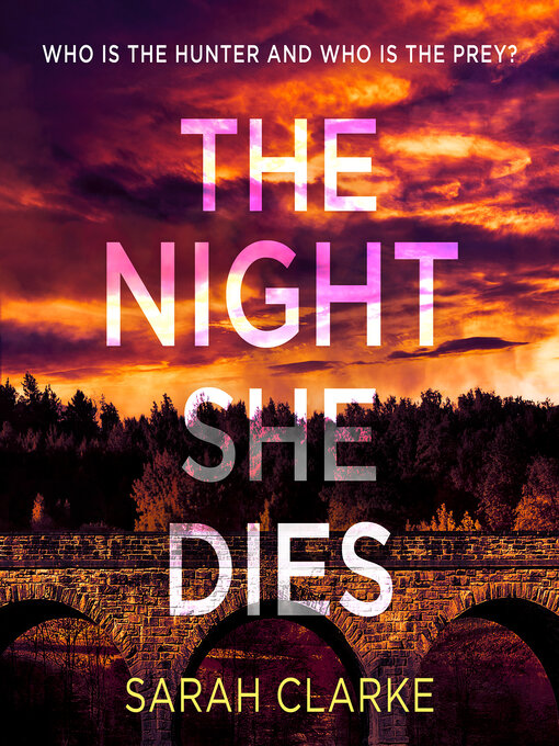 Title details for The Night She Dies by Sarah Clarke - Wait list